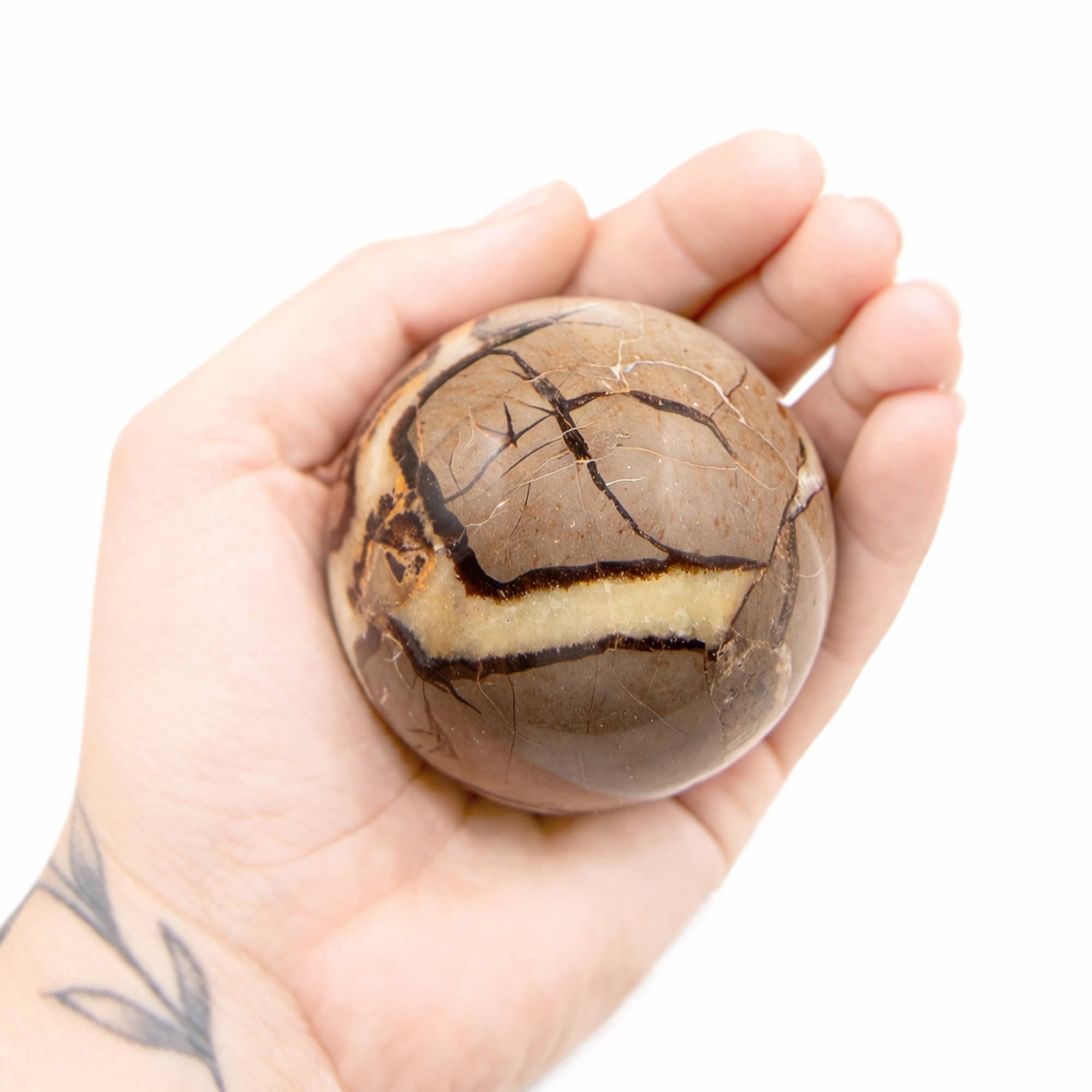 Rare Black Septarian Sphere - 1 of a Kind