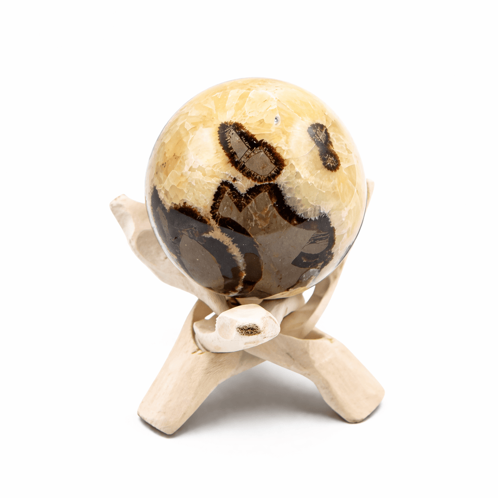 Rare Black Septarian Sphere - 1 of a Kind
