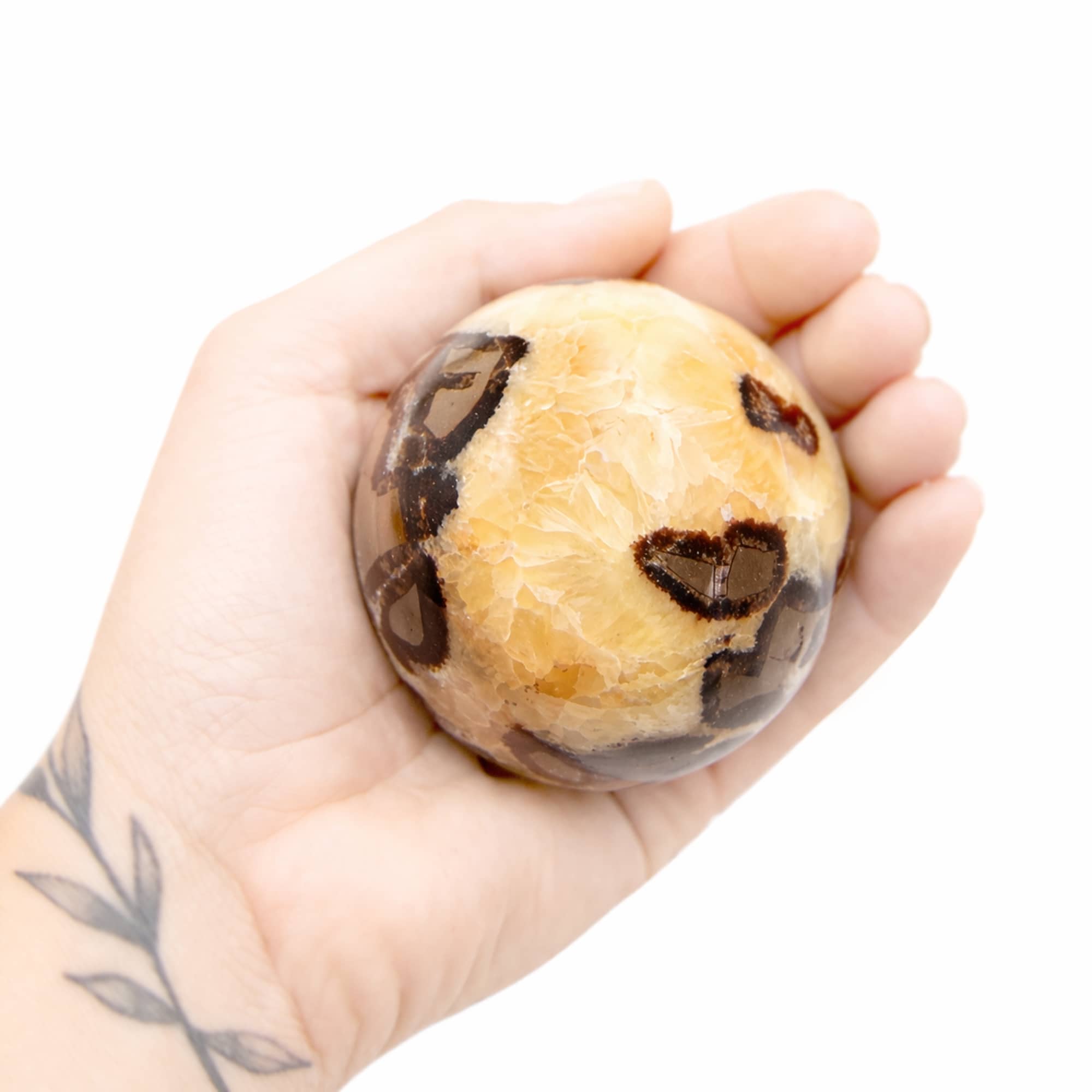 Rare Black Septarian Sphere - 1 of a Kind