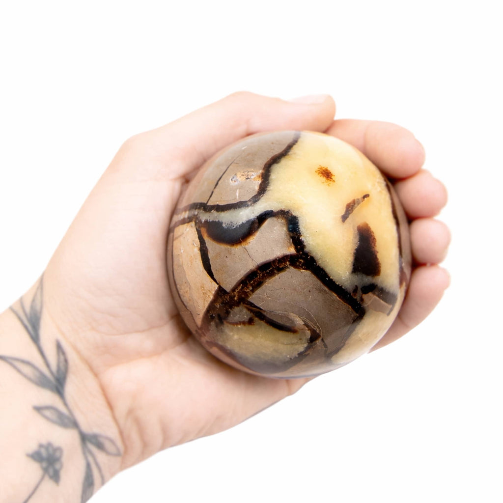 Rare Black Septarian Sphere - 1 of a Kind