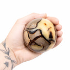 Rare Black Septarian Sphere - 1 of a Kind