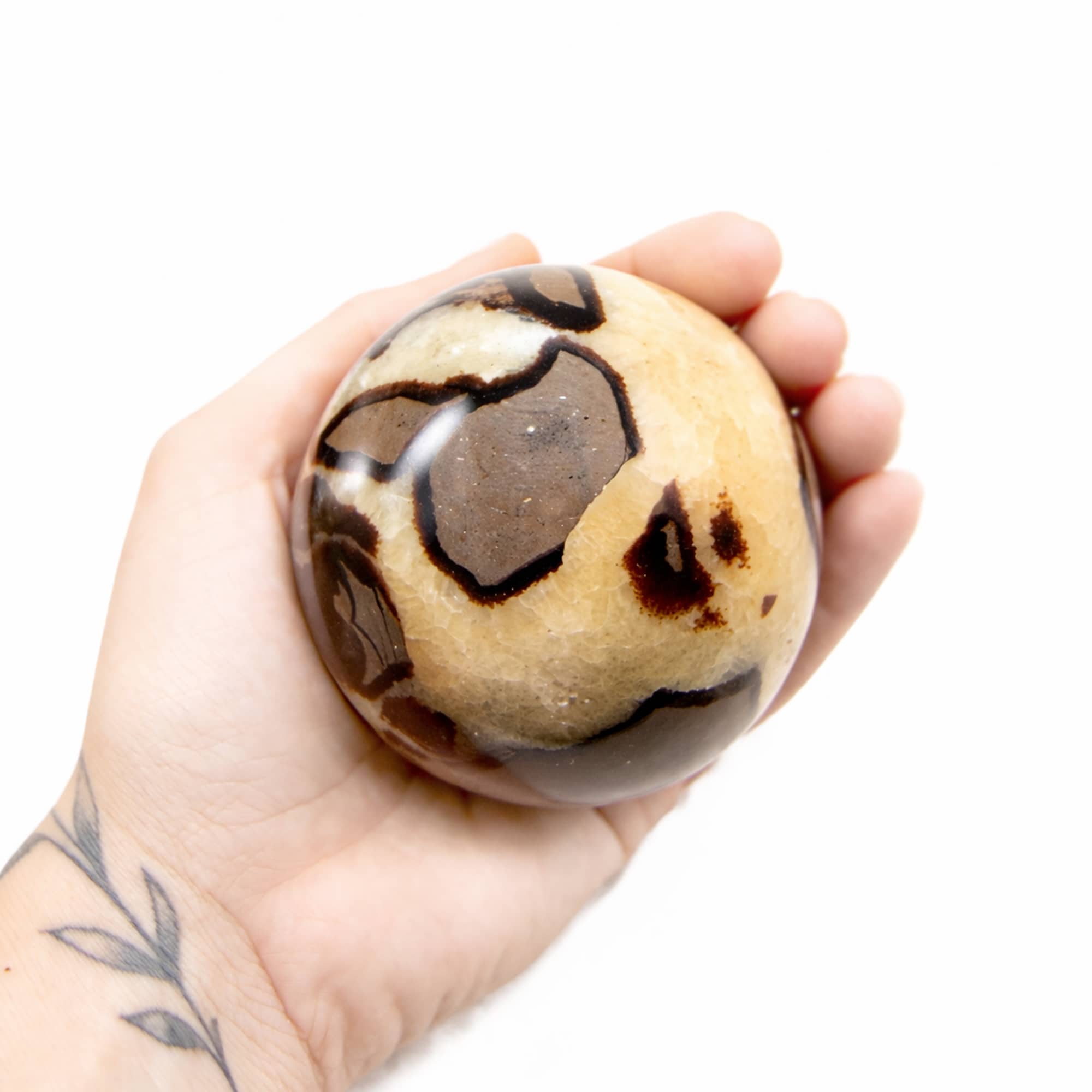 Rare Black Septarian Sphere - 1 of a Kind