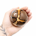 Rare Black Septarian Sphere - 1 of a Kind