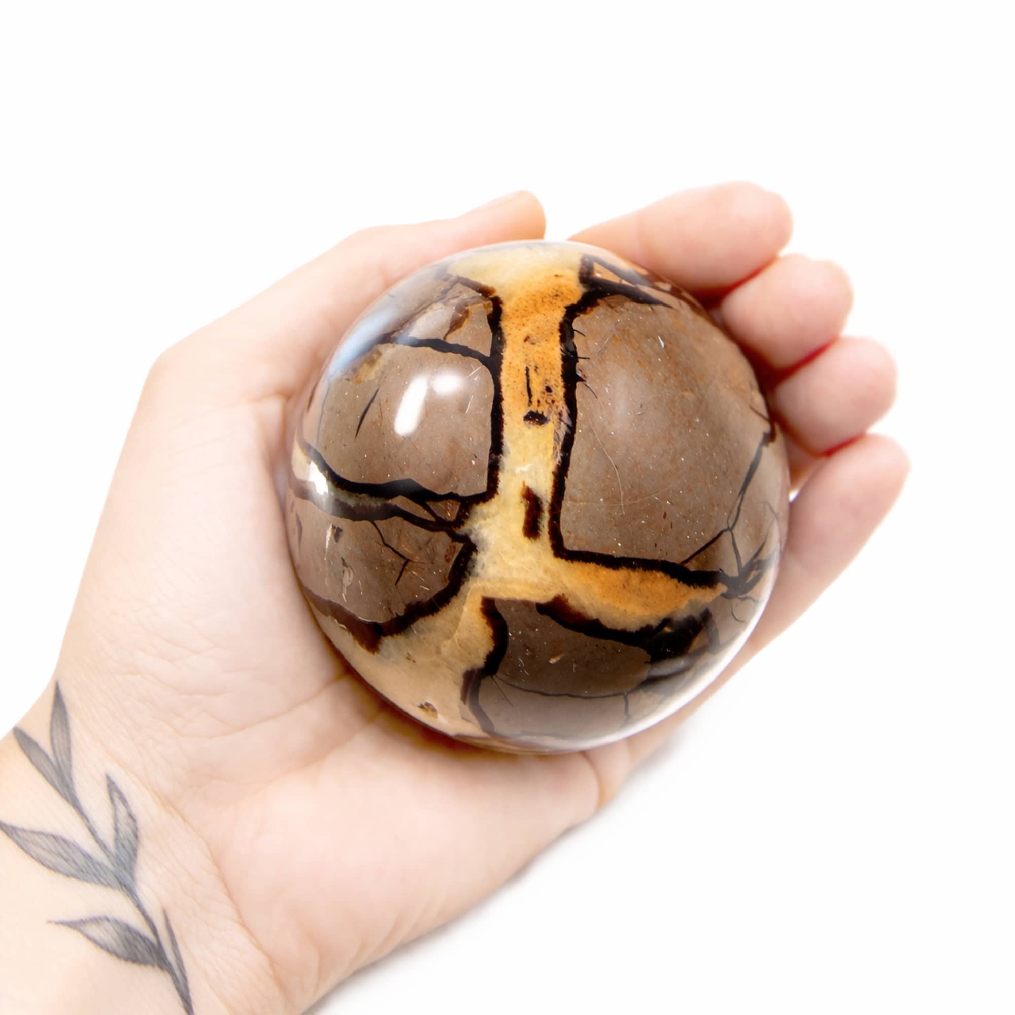 Rare Black Septarian Sphere - 1 of a Kind