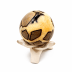 Rare Black Septarian Sphere - 1 of a Kind