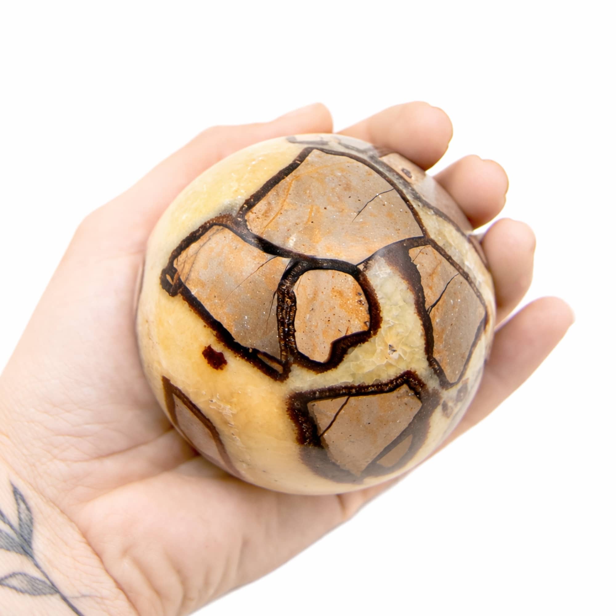 Rare Black Septarian Sphere - 1 of a Kind