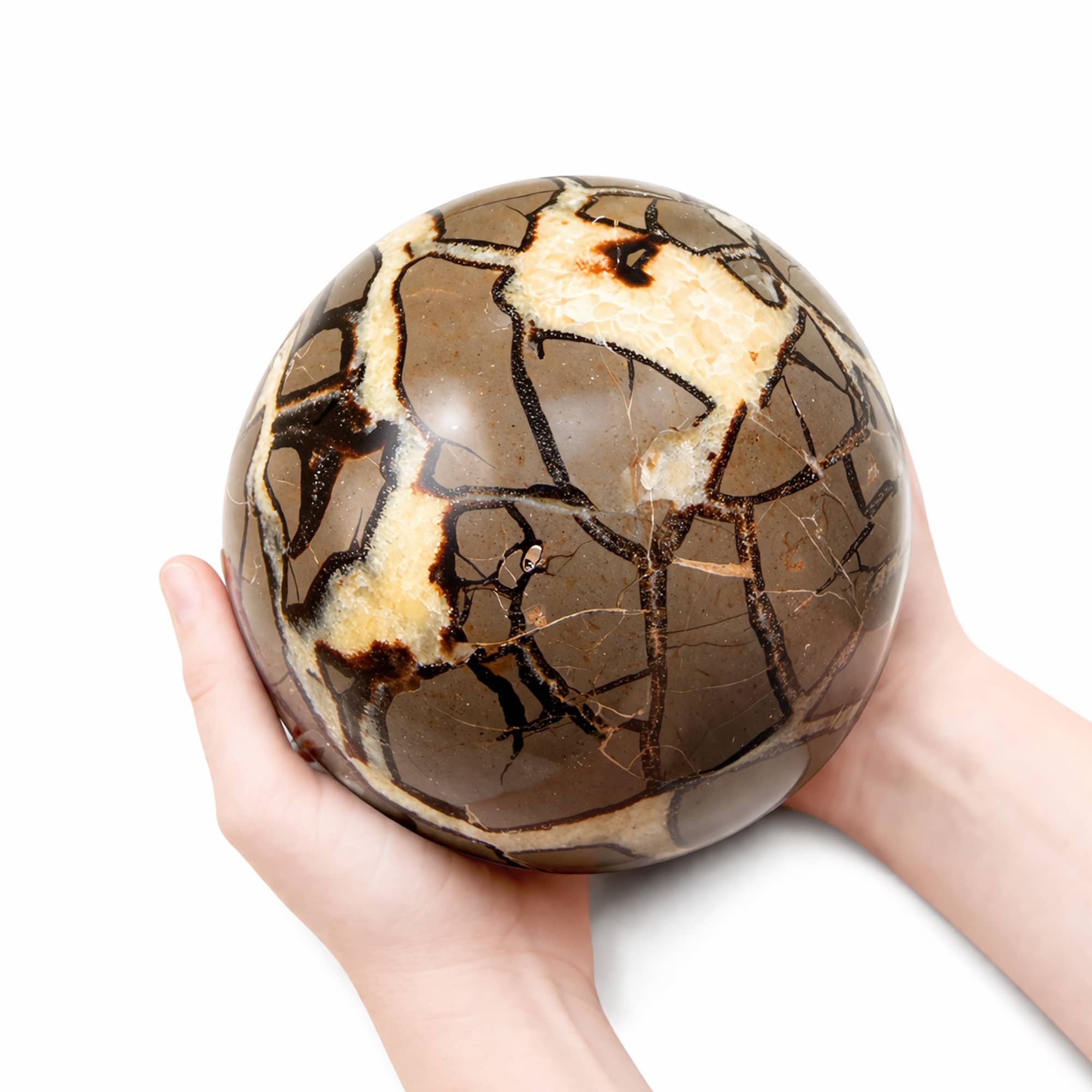 Rare Black Septarian Sphere - 1 of a Kind