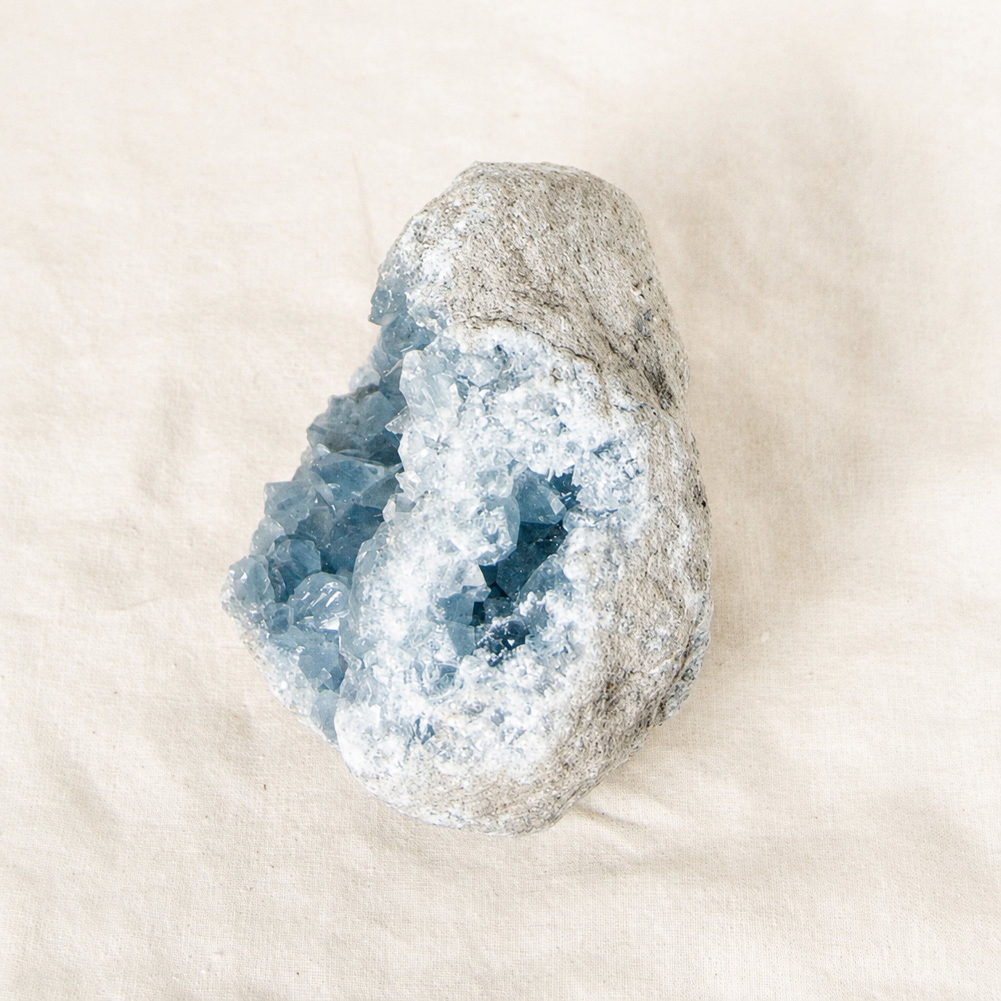 Celestine Geodes - Large - 1 of a Kind