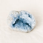 Celestine Geodes - Large - 1 of a Kind
