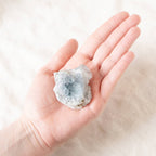 Celestine Geodes - Small