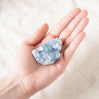 Celestine Geodes - Small
