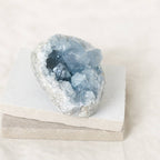 Celestine Geodes - Small