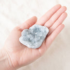 Celestine Geodes - Small