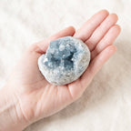 Celestine Geodes - Small