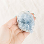 Celestine Geodes - Small