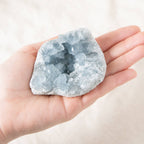 Celestine Geodes - Small