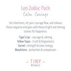 Leo Bracelet Set
