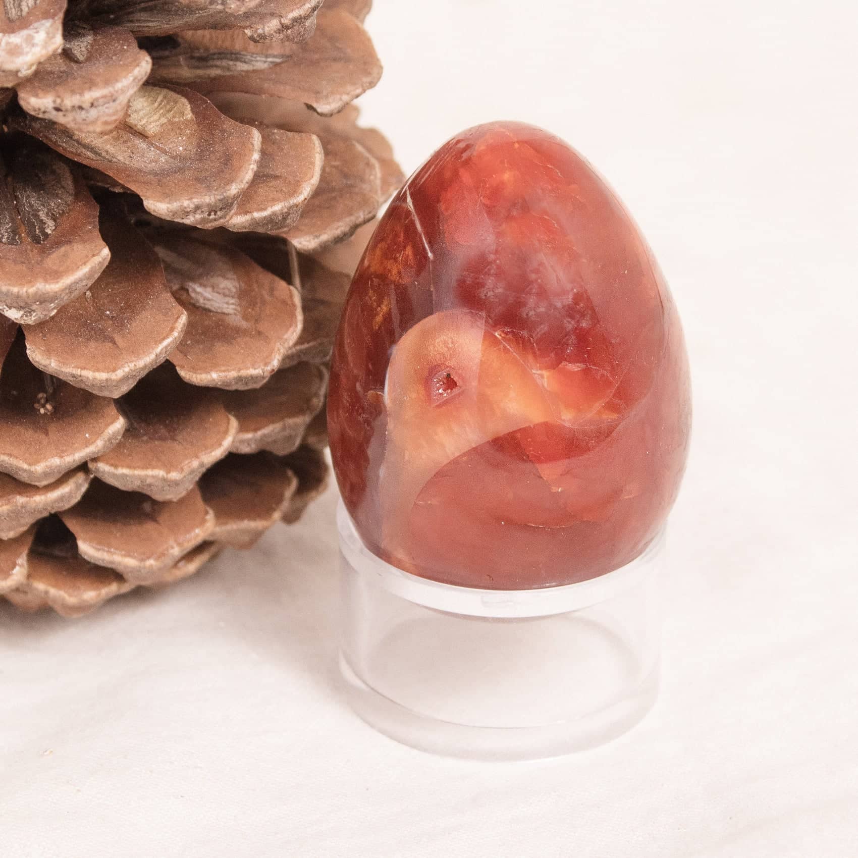 Carnelian Egg - 1 of a Kind