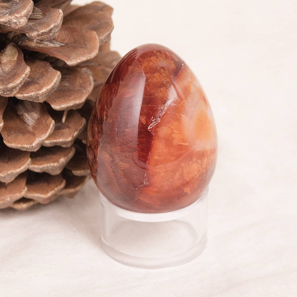 Carnelian Egg - 1 of a Kind