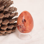 Carnelian Egg - 1 of a Kind