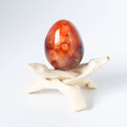 Carnelian Egg - 1 of a Kind