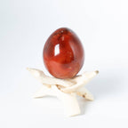 Carnelian Egg - 1 of a Kind