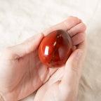 Carnelian Egg - 1 of a Kind