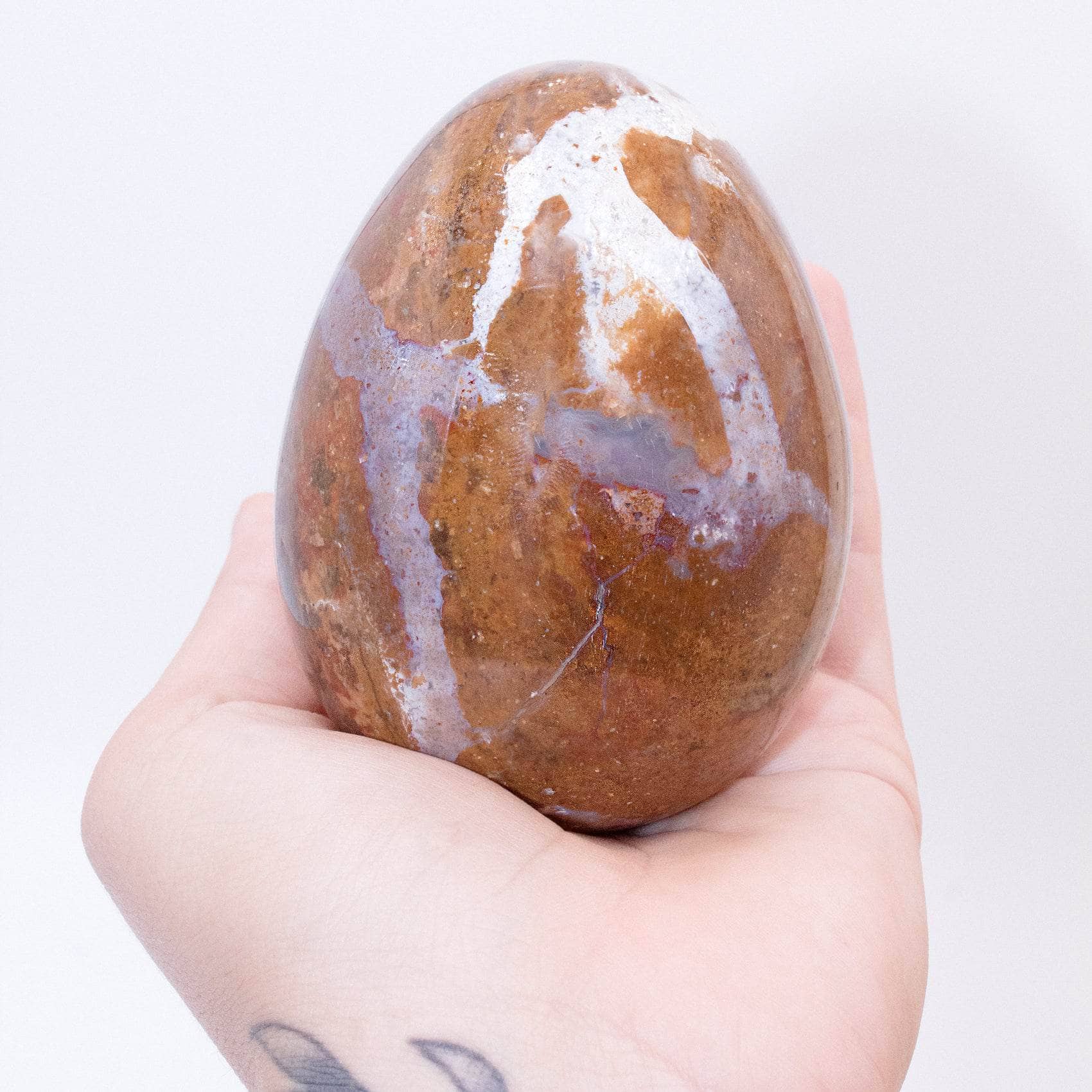 Petrified Wood Egg