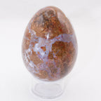 Petrified Wood Egg