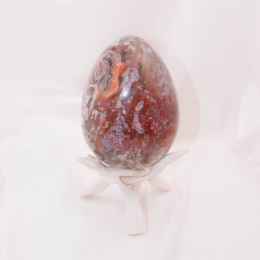 Petrified Wood Egg