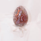 Petrified Wood Egg