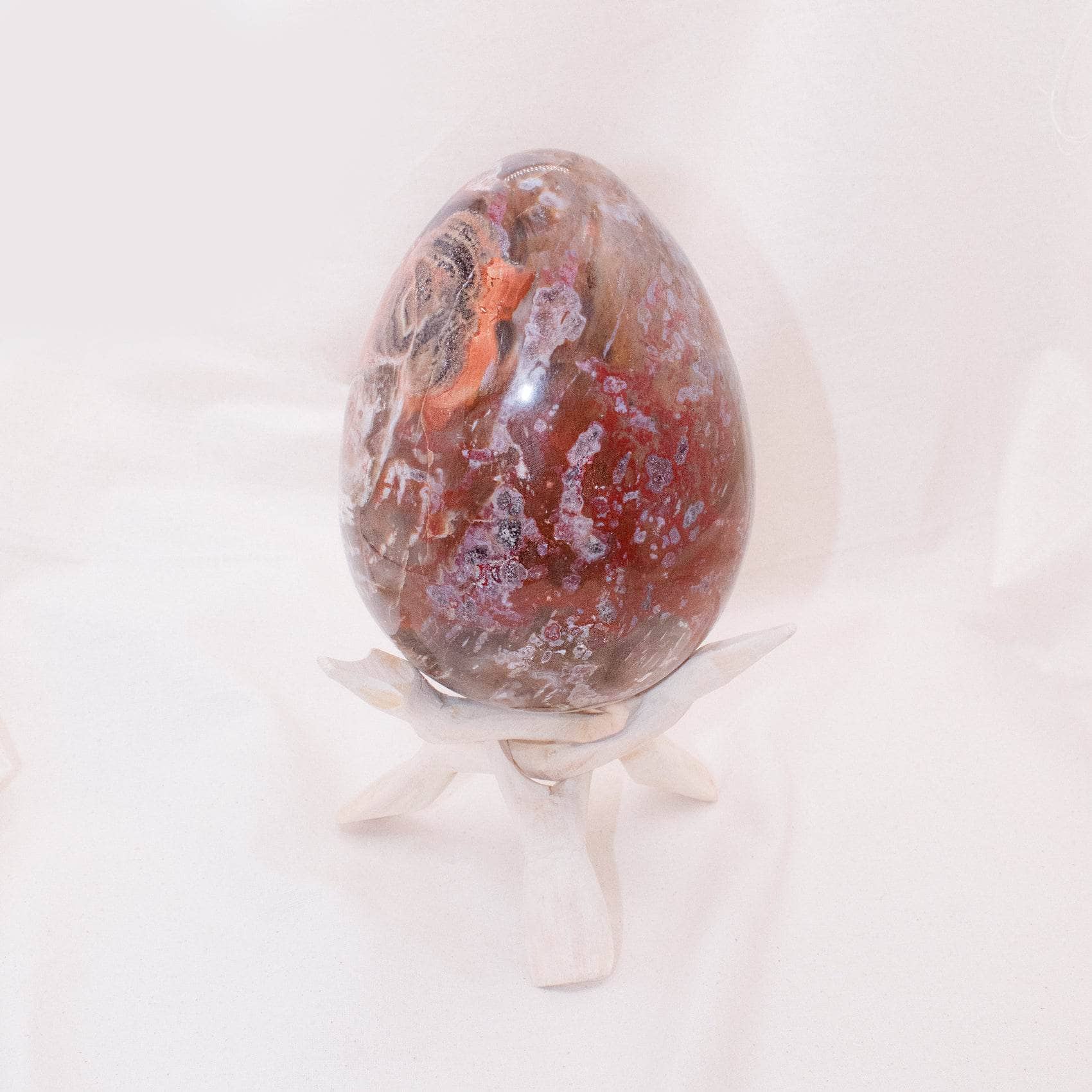 Petrified Wood Egg