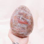Petrified Wood Egg