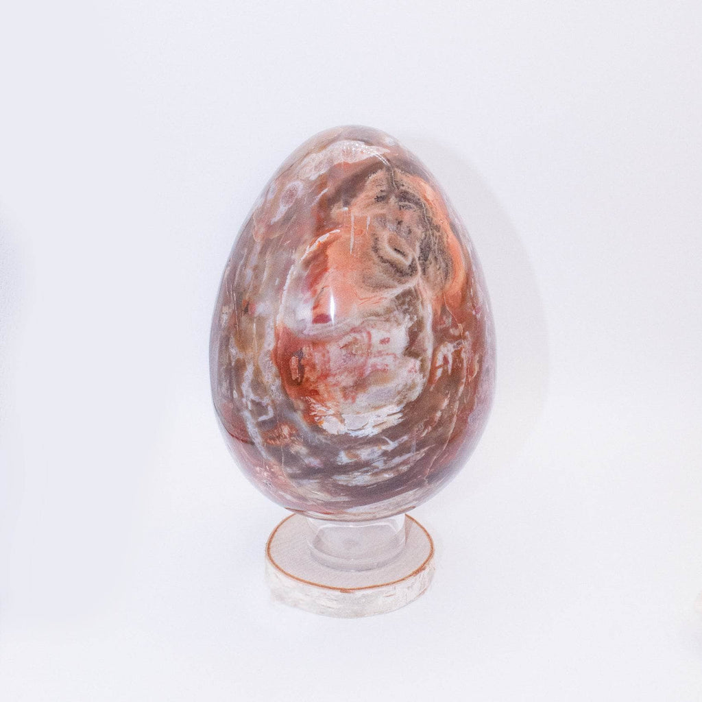 Petrified Wood Egg
