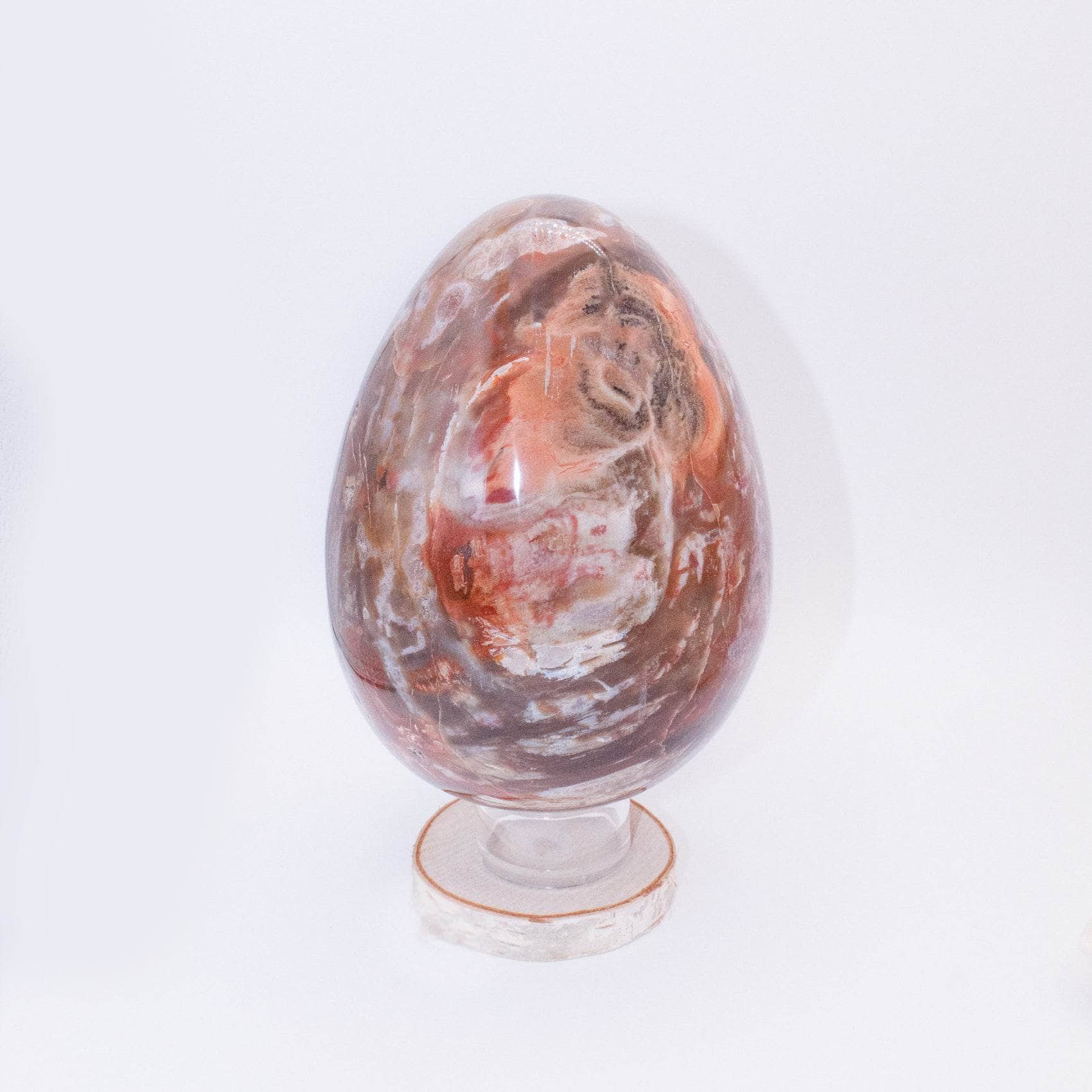 Petrified Wood Egg