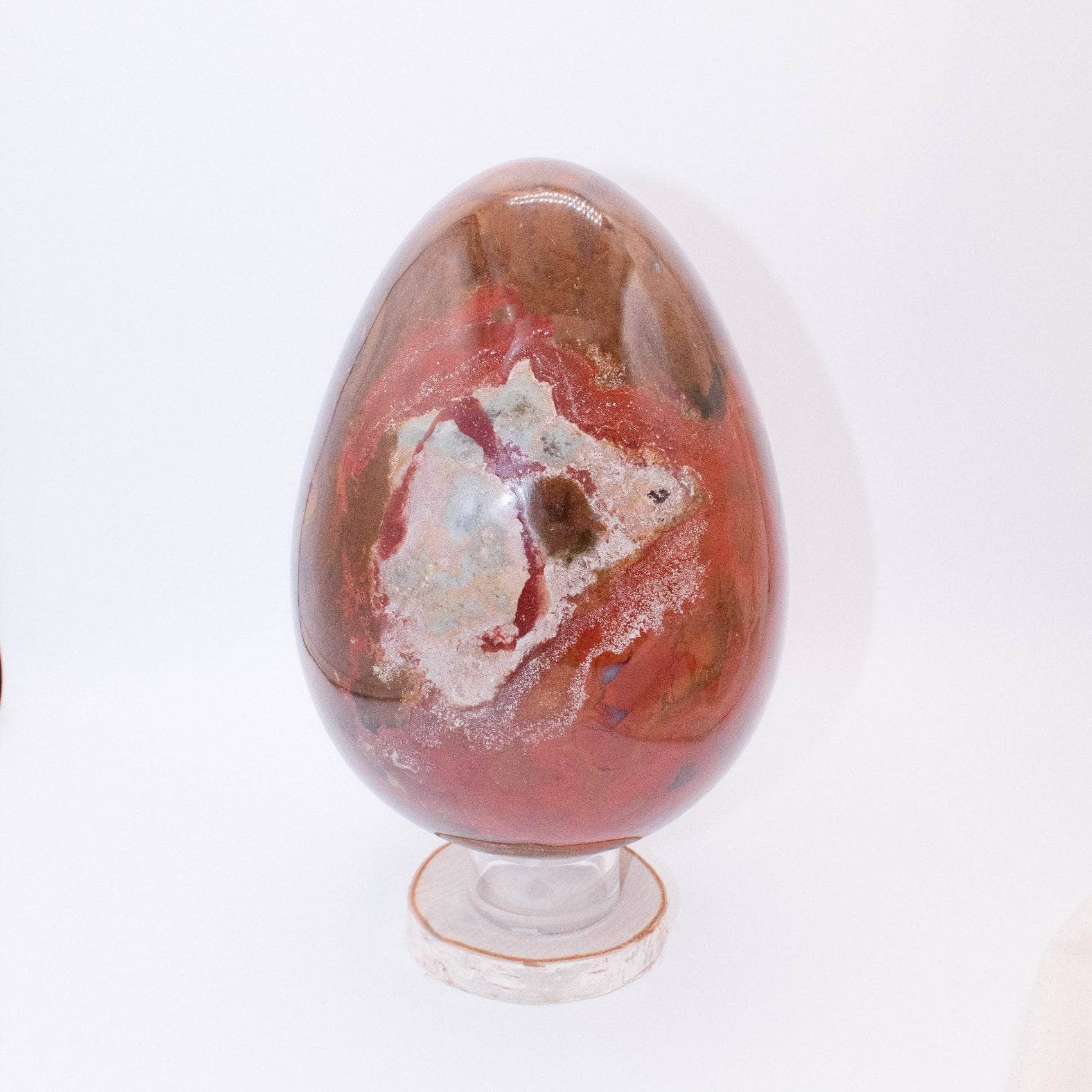 Petrified Wood Egg