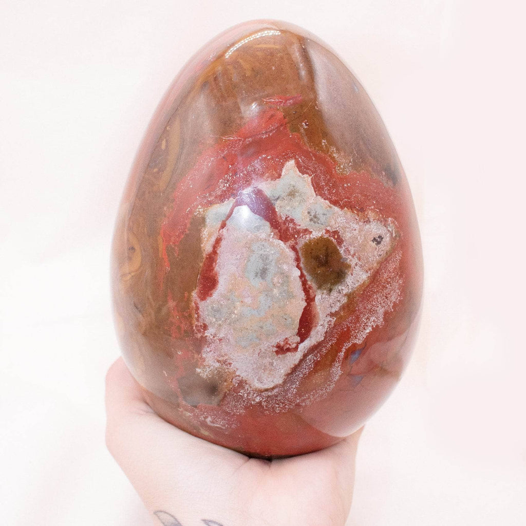 Petrified Wood Egg