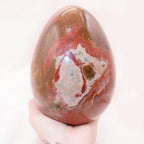 Petrified Wood Egg