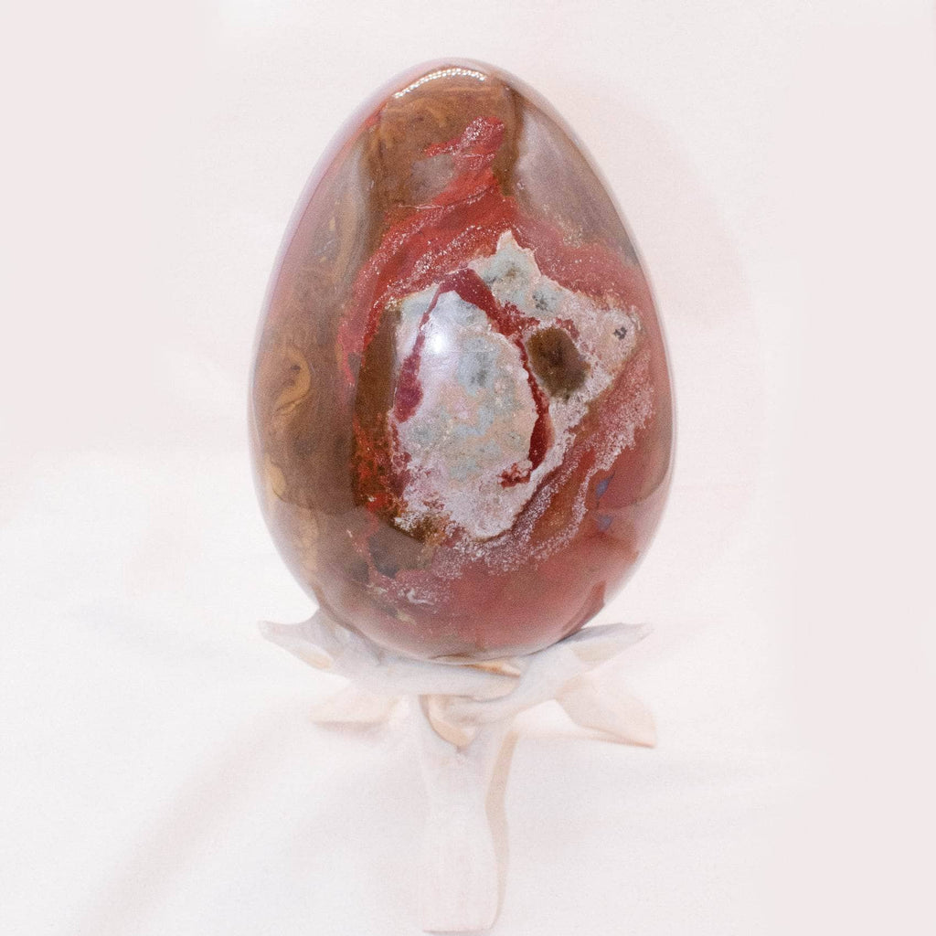 Petrified Wood Egg