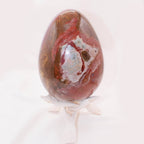 Petrified Wood Egg