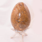 Petrified Wood Egg