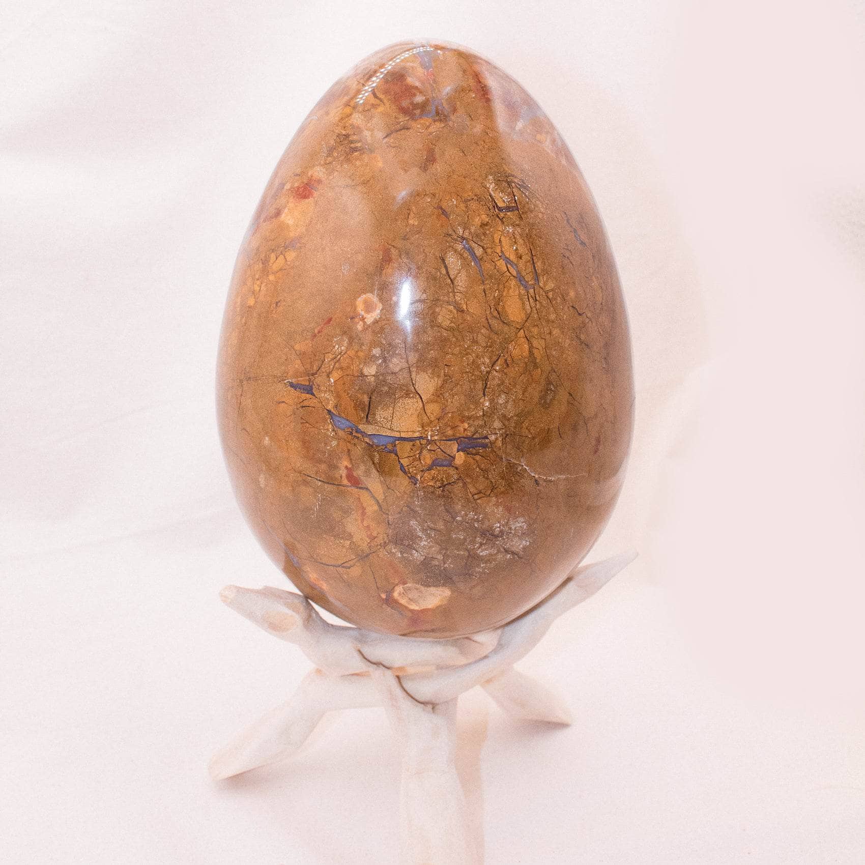 Petrified Wood Egg