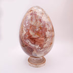 Petrified Wood Egg