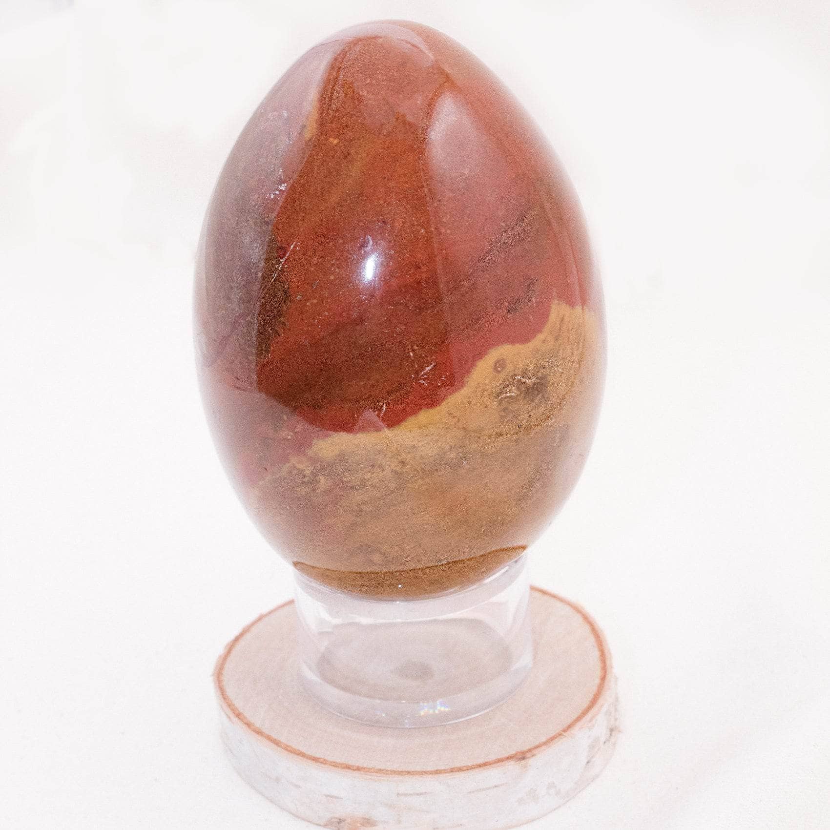 Petrified Wood Egg