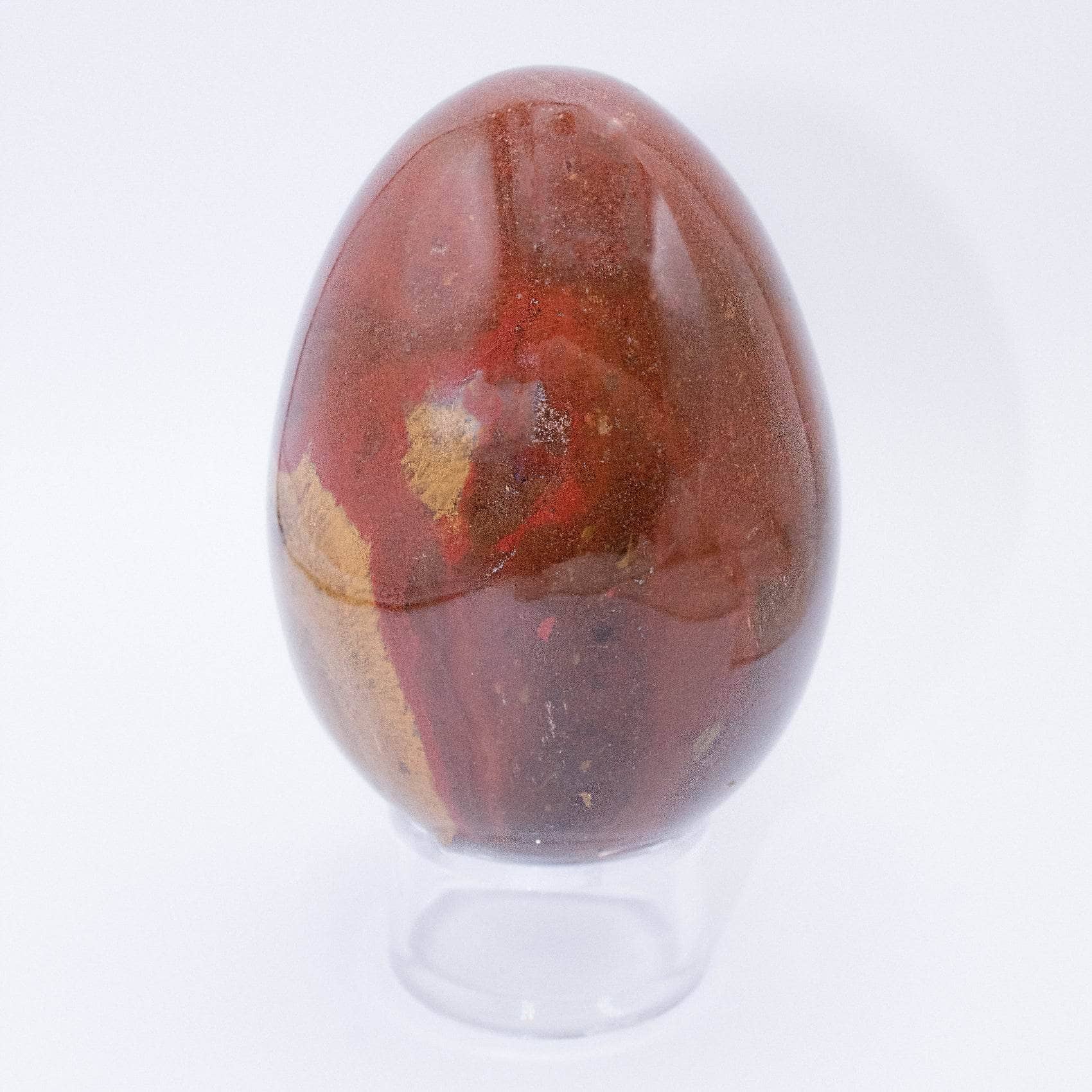 Petrified Wood Egg