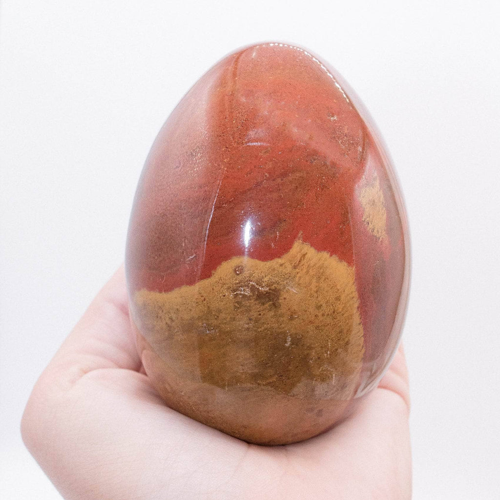 Petrified Wood Egg