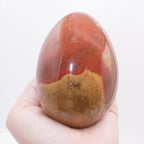 Petrified Wood Egg