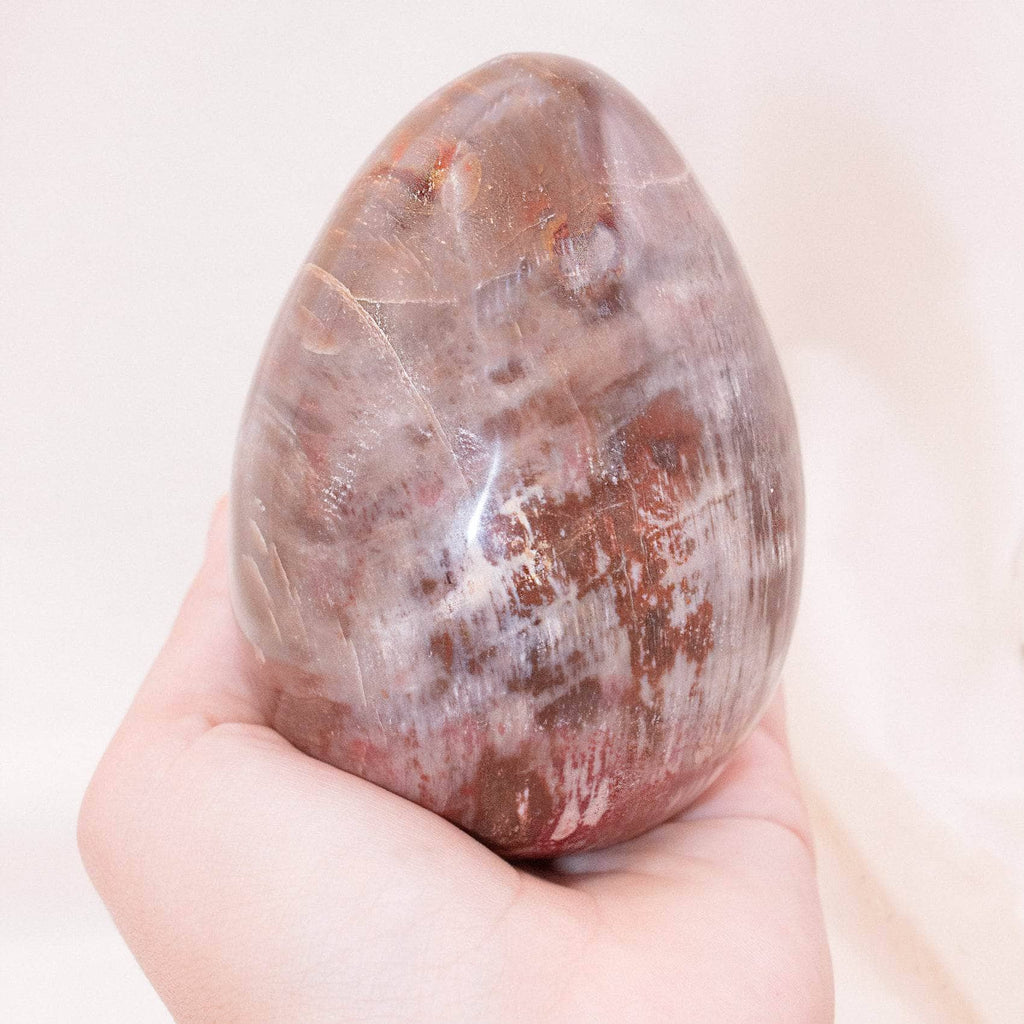 Petrified Wood Egg