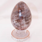 Petrified Wood Egg