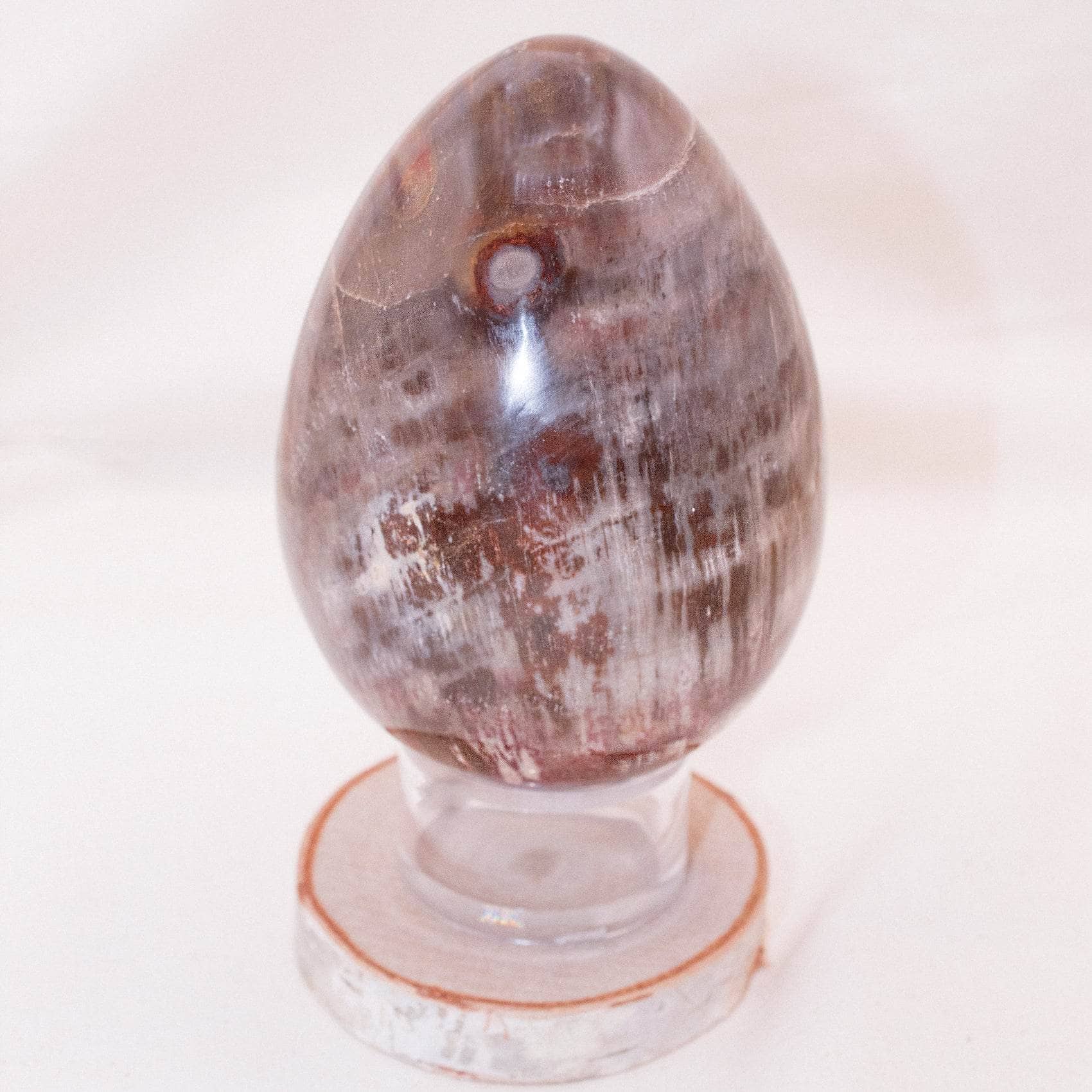 Petrified Wood Egg